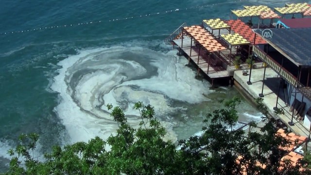 BALIKESİR -Erdek ve Bandırma körfezlerinin dibinde deniz salyası tehlikesi - Prof. Dr. Mustafa Sarı