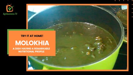 Try it at home: Molokhia, a dish having a remarkable nutritional profile