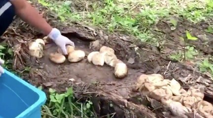 เรื่องพลบค่ำ ช่วงที่ 1 วันพุธที่ 2 มิ.ย.64