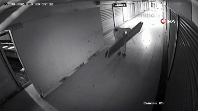 Çarşı tuvaletinin kapılarını böyle çaldı