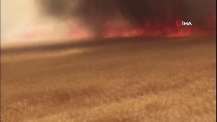 Ekili alan yangınları arttı, itfaiye müdürü uyardı