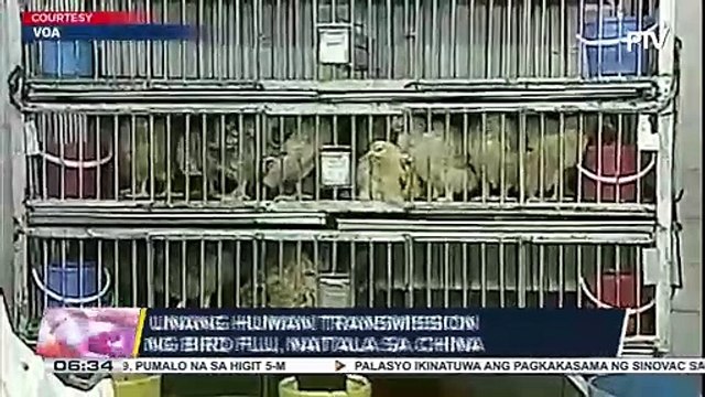 Unang human transmission ng bird flu, naitala sa China; Dep’t of Agriculture, nakatutok sa imported poultry products mula China na ipinapasok sa bansa