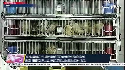 Unang human transmission ng bird flu, naitala sa China; Dep’t of Agriculture, nakatutok sa imported poultry products mula China na ipinapasok sa bansa