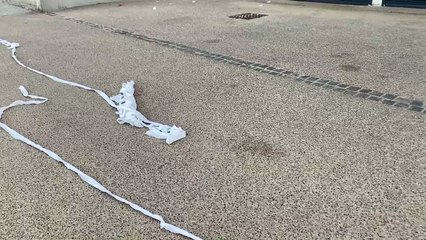 Toilet roll strewn across Sunderland promenade as council condemns 'unacceptable behaviour'