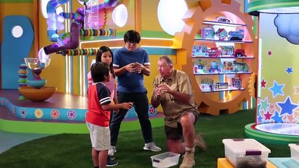 Last Ryan'S Mystery Playdate Episode Celebration!!