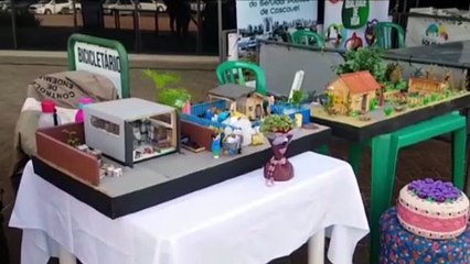 Foca na caneca e diga não ao descartável: ações voltadas à proteção ambiental são realizadas em Cascavel