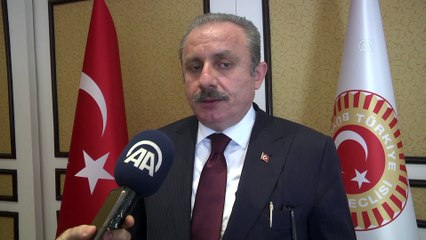 شنطوب: ينبغي العمل على زيادة الاعتراف الدولي بدولة فلسطين
