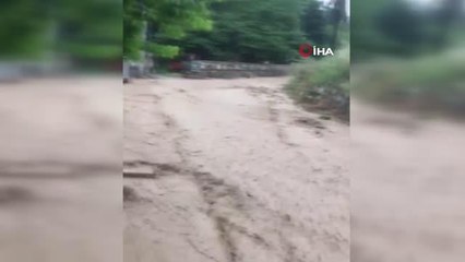 Sele teslim olan Trilye'de yaralar sarılıyor