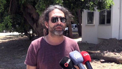 MERSİN - 3,5 metrelik ölü yunus kıyıya vurdu