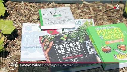 Jardinage : un potager bio sans effort