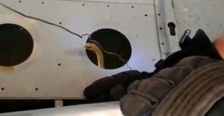 Son dakika haberi... Yangın söndürme helikopterine giren yılanı itfaiye çıkarttı