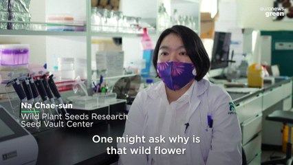 South Korea's 'high security seed vault' is ready for an apocalypse