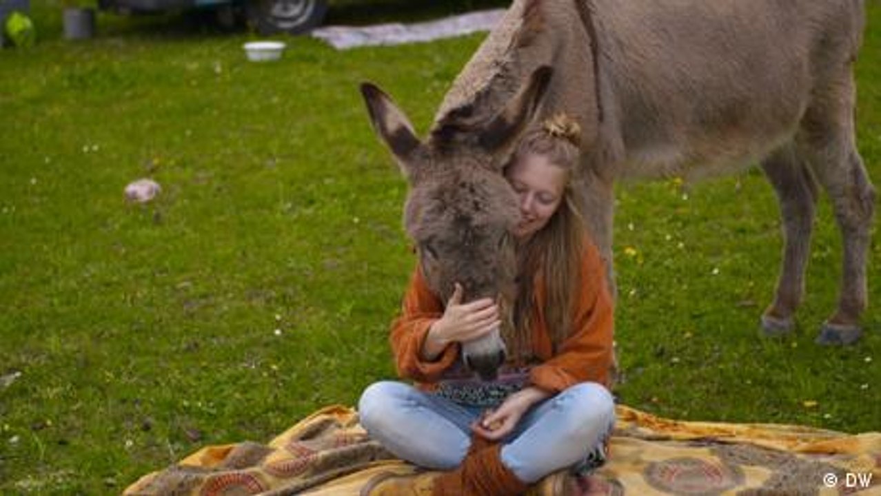 Mit dem Esel über die Alpen