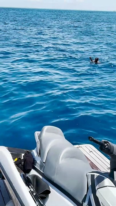 Bird Saved From Shark Infested Waters
