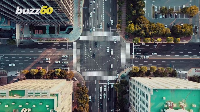 No Room For Passengers! Many Drivers Keep So Much Junk in Their Car Leaving Room for No One Else!