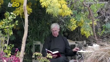 Adorable Kitten Shares a Pancake with a Very Patient Priest