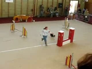 Alice tara degrès 240208