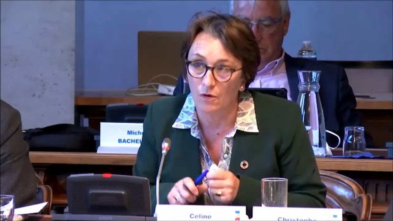 Céline TONOT. Voeu relatif à la réforme de l'assurance-chômage. Session du 31 mai 2021