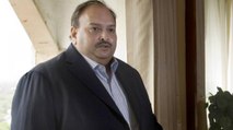 Choksi has to be deported to India: Dominica govt tells HC