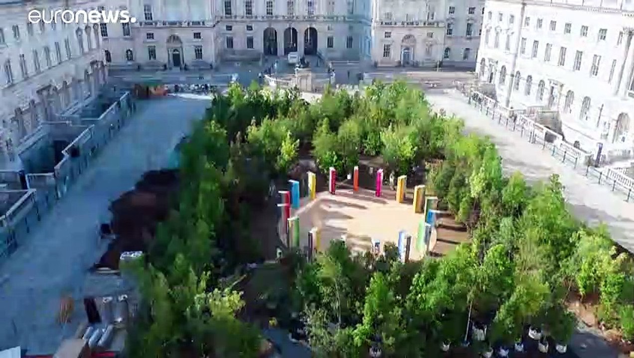 La Biennale du Design de Londres recrée une forêt en plein coeur de la ville