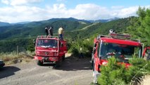 BALIKESİR - Orman yangınına müdahale ediliyor