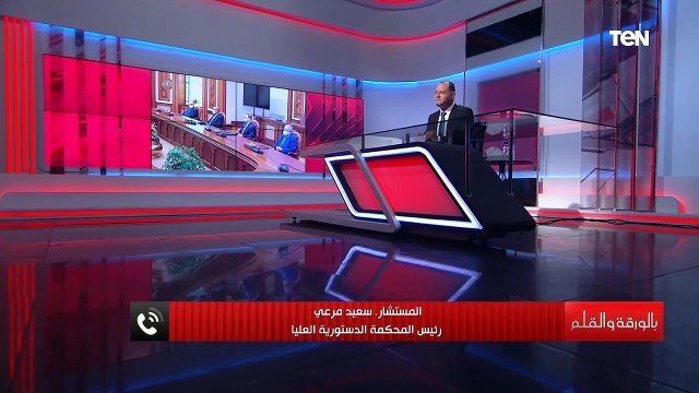 رئيس المحكمة الدستورية العليا: الرئيس السيسي يقدر القضاء المصري بكافة هيئاته