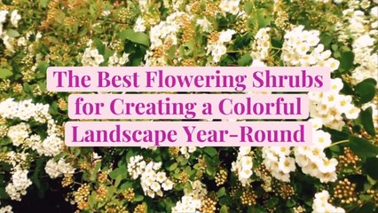 The Best Flowering Shrubs by Season for Creating a Colorful Landscape Year-Round