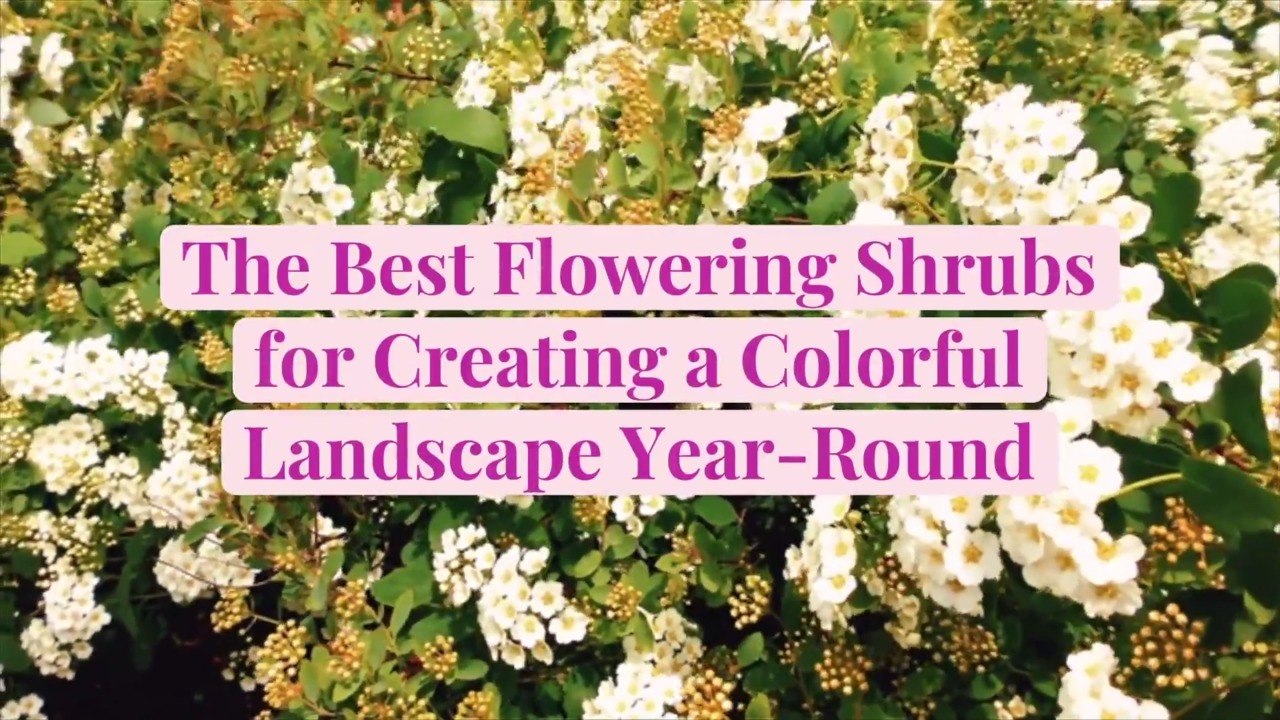 The Best Flowering Shrubs by Season for Creating a Colorful Landscape Year-Round