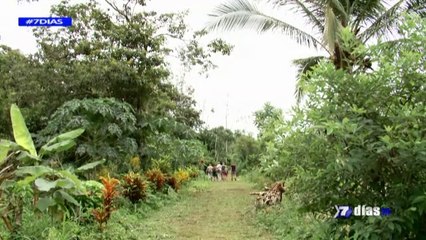 7 Días: Paraíso en el sur - 150615