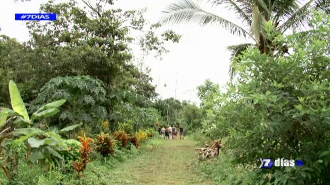 7 Días: Paraíso en el sur - 150615