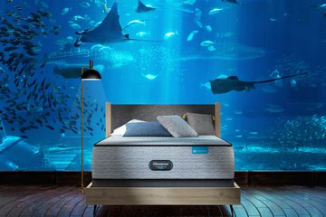 The Long Island Aquarium Will Let You Spend a Night Alone Under the Sea and Go for a Private Shark Dive