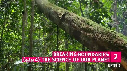 أفضل 5 أعمال أصلية لنتفليكس خلال شهر يونيو