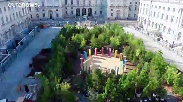 Design sempre più green. Alla Biennale di Londra una foresta contro i cambiamenti climatici