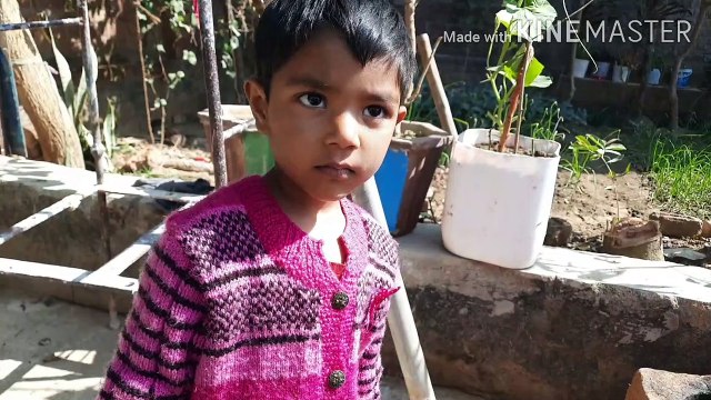 How chicks came out of eggs