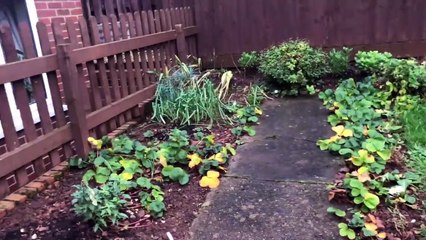 9 Days Without Touching My Credit Card Challenge in Uk l VIDA SUPA