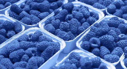 What Is Blue Raspberry, Exactly?