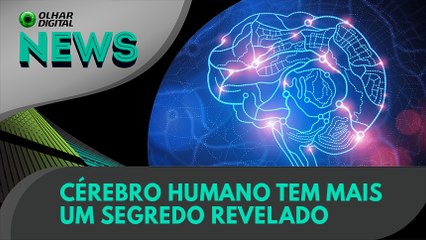 Ao Vivo | Cérebro humano tem mais um segredo revelado | 02/06/2021 | #OlharDigital