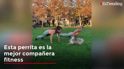 Conoce a Tesla, la perrita que entrena junto a sus dueñas