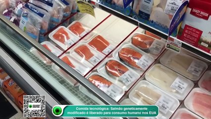 Comida tecnológica- Salmão geneticamente modificado é liberado para consumo humano nos EUA