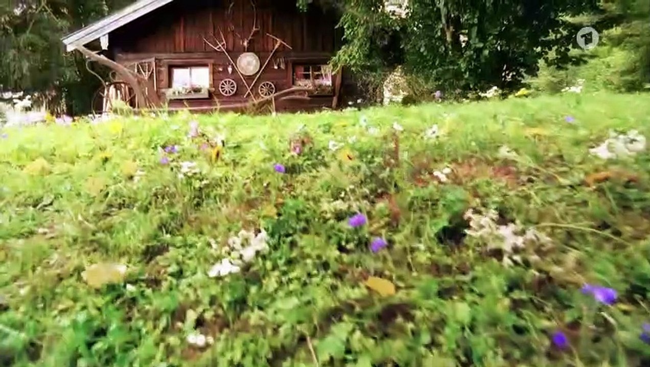 Sturm der Liebe 3607 folge