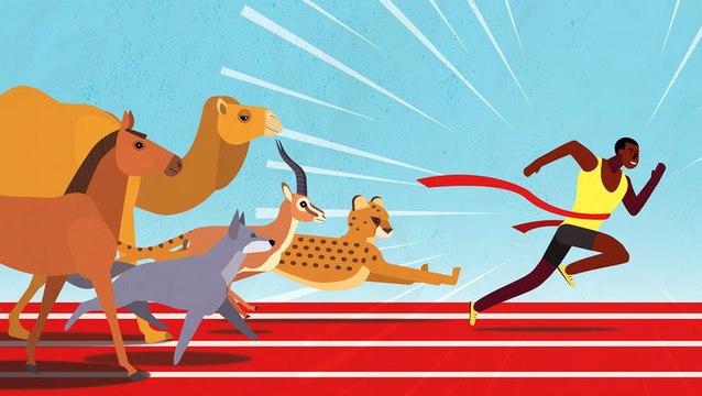How humans evolved to become the best runners on the planet