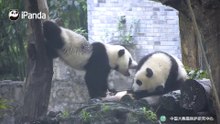 我来帮你忙啦