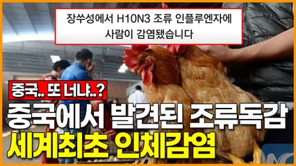 중국에서 발견된 조류독감.. 세계최초 인체감염