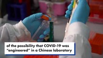 Fauci was warned that COVID-19 may have been ‘engineered’ _ New York Post