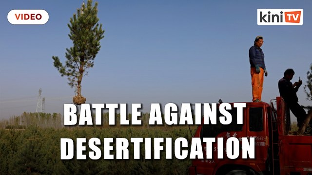 China farmers push back the desert - one tree at a time
