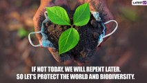 World Environment Day 2021: Best Slogans and Inspirational Thoughts To Celebrate Paryavaran Divas