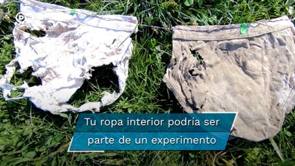 ¿Qué podrían aportar tus calzoncillos a la ciencia?
