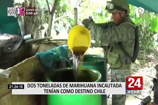 Policía Nacional y el Ejército incautaron más de dos toneladas de droga en Puno