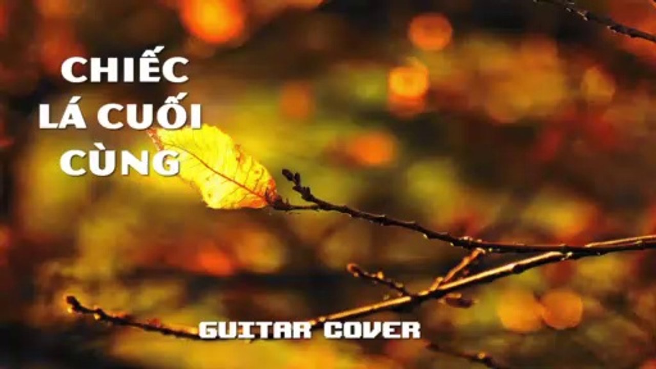 Chiếc Lá Cuối Cùng - Guitar Cover | 3N Music