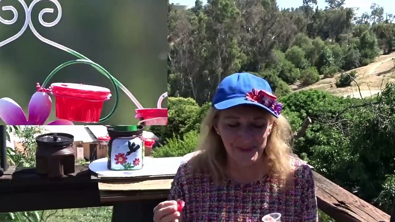 How To Make Easy Diy Hummingbird Feeder Tips On Feeding Recipe Nectar Attract Hummingbirds Bird Dots